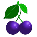 Judberries