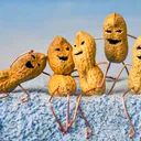 🥜The Peanut Gallery🥜