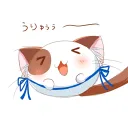 浅葉剣心's server