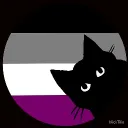 AceSpace.de