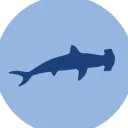 Hammerhead DFS & Bets