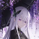 ECCHI DNA