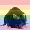 Rat House
