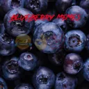 Blueberry’s Heaven