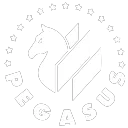 Project P.E.G.A.S.U.S