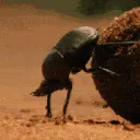 Shit Post Central