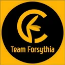 Team Forsythia💐