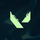Discovery icon for VALORANT - BR Discord server