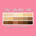 The *SK*[BoM]*IN* Project