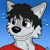 Sultz Z. Wolf's server