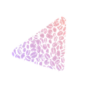 Cufy Organization