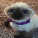 𝗜𝘀𝘀𝘂𝗲𝘀 Discord Server