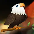 WP Eagle's Nest
