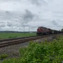 Shoutingzoom