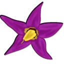 Nightshayde