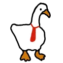 Feathered's Silly Haven