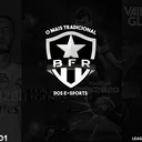 Arena BFR Gaming