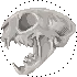 [CLOSED] ＲＵＩＮ