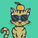 BeleriLeri 🍊
