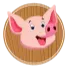 Piggericks