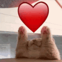 Cat Emotes Discord server icon