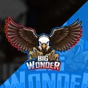 BigWonder's Community
