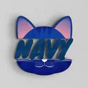 Navy Team