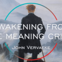 Awakening from the Meaning Crisis icon