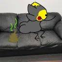 Couch Cushions 2