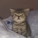 𝓛𝓸𝓼 𝓹𝓮𝓸𝓹𝓵𝓮's icon