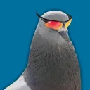 Pombos Aquáticos