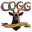 Casual Organization of Global Gamers