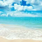 HOLIDAYS — мониторинг Discord сервера, статистика и рейтинг