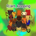 Ants and insects (r/ant_keeping)