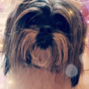 sylvan private icon