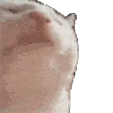 Barnyard