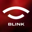 Team BLINK