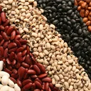 Bean Cult
