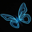 The Butterfly Effect Server Icon