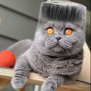 OSAMASON CONCERT 📍 Tel Aviv, Israel Discord server icon