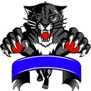 LS Mafia Network