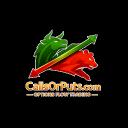 CallsOrPuts.com icon