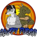 😸Happy Furry 😺