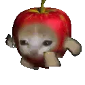 Followers of Applecat