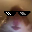 Hamster Gvng