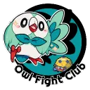 Owl Fight Club