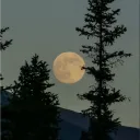 Nocturnos x NotPatoo_ Discord Server Icon