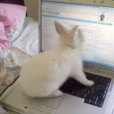 burrow Discord Server Icon