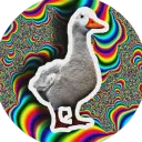 la.cursitude official