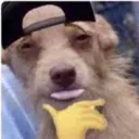 132 Meme Machine